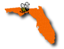 District Contacts (FL)